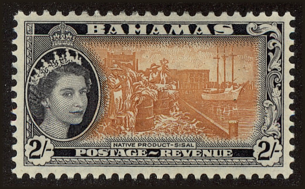 Front view of Bahamas 169 collectors stamp