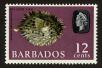 Stamp ID#90463 (1-95-604)