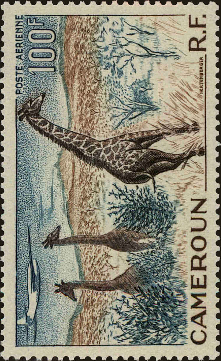 Front view of Cameroun (French) C35 collectors stamp