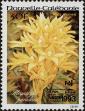 Stamp ID#284020 (2-19-2570)