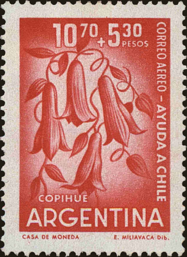 Front view of Argentina CB24 collectors stamp