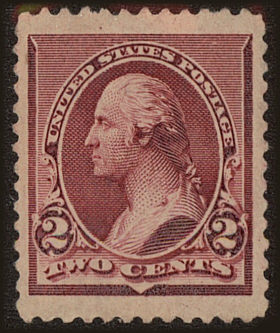 Front view of United States 219D collectors stamp