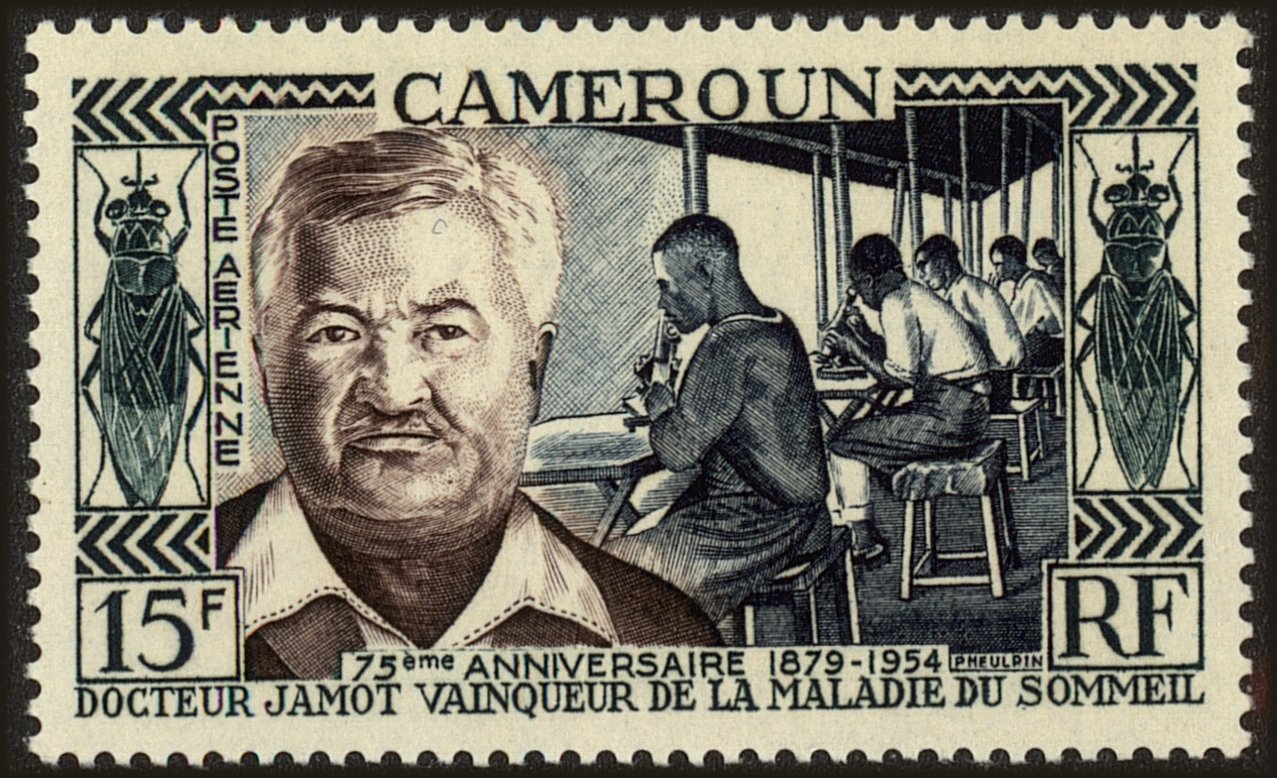 Front view of Cameroun (French) C33 collectors stamp