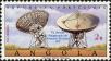 Stamp ID#155920 (2-9-1295)