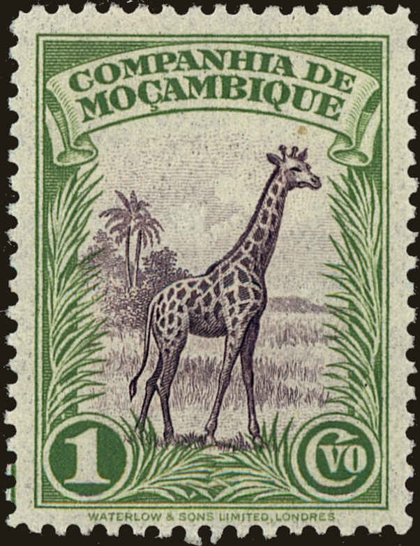 Front view of Mozambique Company 175 collectors stamp