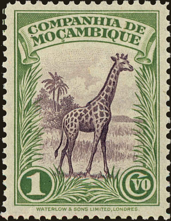 Front view of Mozambique Company 175 collectors stamp