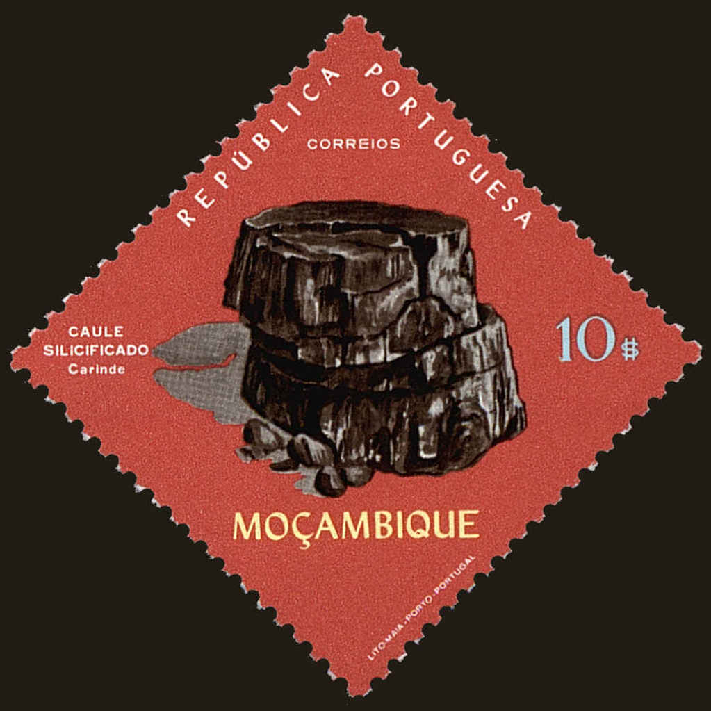 Front view of Mozambique 501 collectors stamp