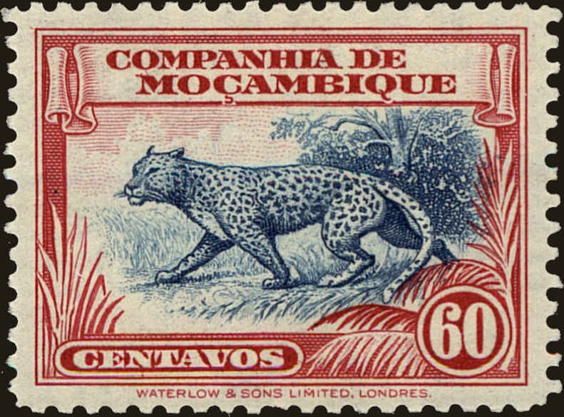 Front view of Mozambique Company 184 collectors stamp