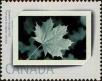 Stamp ID#311086 (3-2-79)