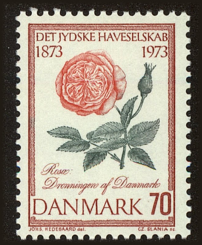 Front view of Denmark 521 collectors stamp