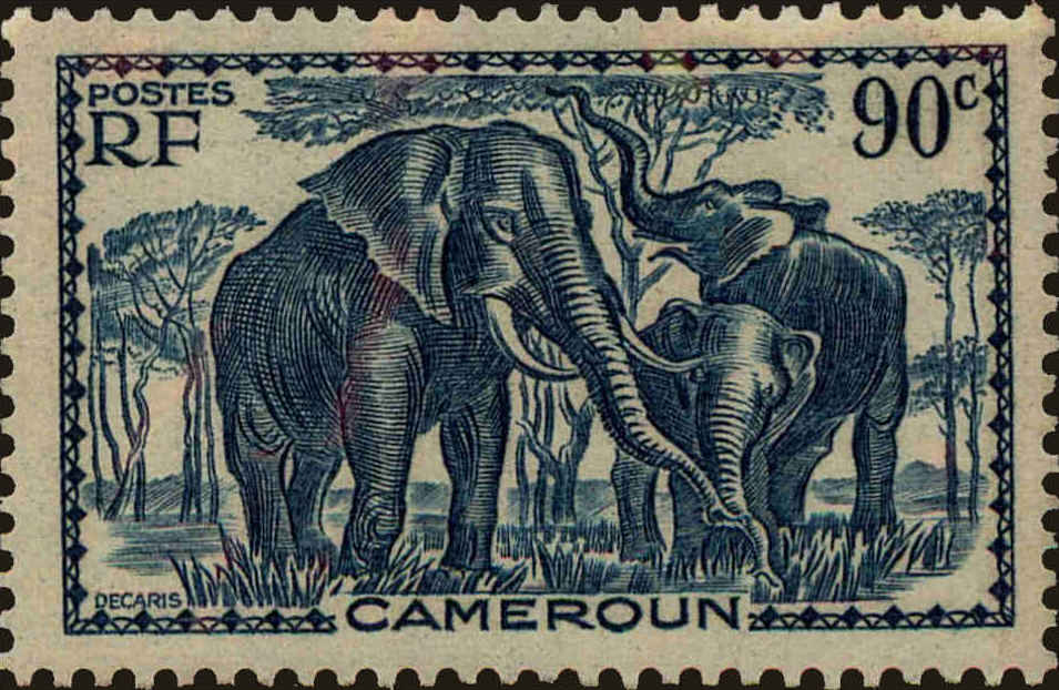 Front view of Cameroun (French) 240 collectors stamp